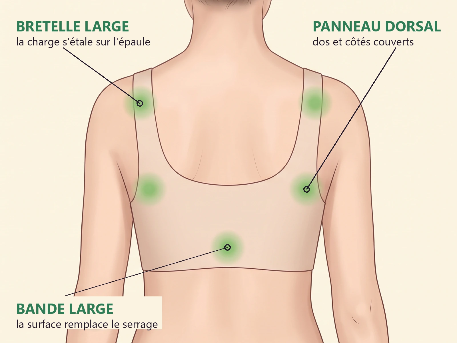 Schéma annoté, même vue de dos : bretelle large, panneau dorsal et bande large qui répartissent la charge